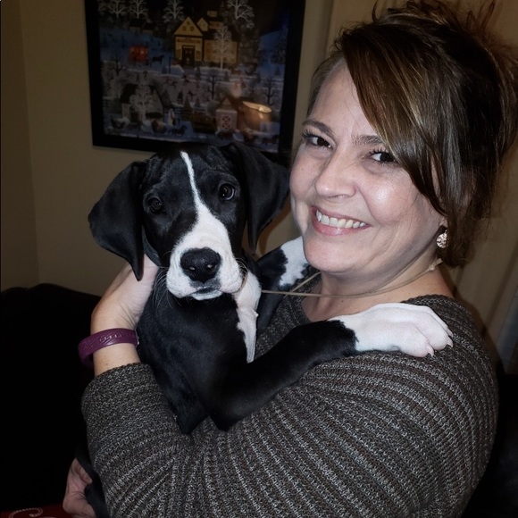 Meet your Posher, Carrey - Picture 1 of 1